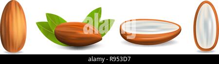 Almond icon set, realistic style Stock Vector