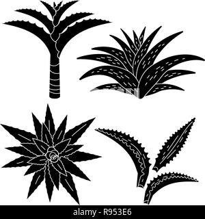 Aloe vera icon set, simple style Stock Vector