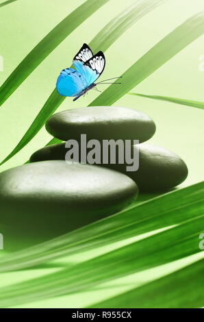 Butterfly, Black and Balanced Stones. Palm Leaf. Zen and Spa Concept. Stock Photo