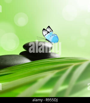 Butterfly, Black and Balanced Stones. Palm Leaf. Zen and Spa Concept. Stock Photo