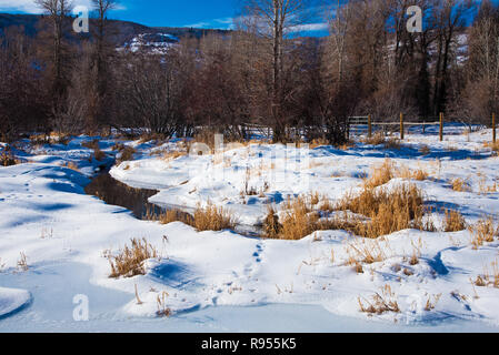Snowy winter meadows and small stream. Stock Photo