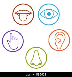 Human senses icon. Vector illustration flat Stock Vector
