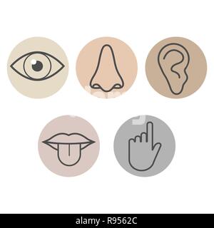 Human senses icon. Vector illustration flat Stock Vector