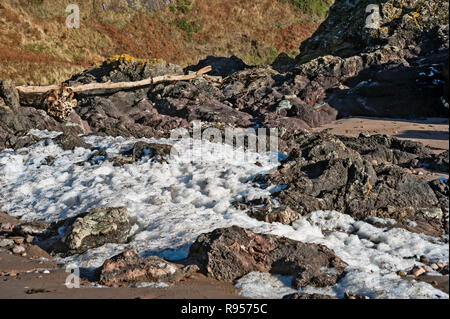 Spume, beach foam, ocean foam or sea foam high on the beach of St,. Cyrus, Aberdeenshire, Scotland after storm. Stock Photo