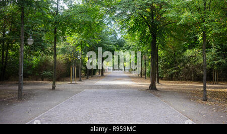 Tiergarten park with lush flora in Berlin. Autumn with falling leaves and green trees background. Nature in Germany. Stock Photo