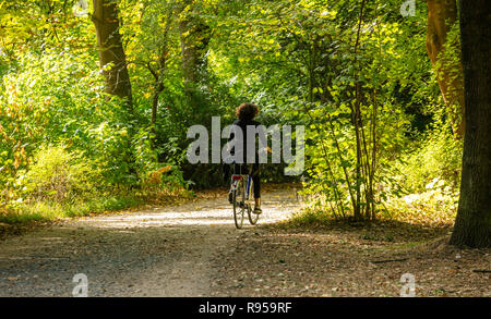 Healthy lifestyle. Woman is riding a bike in a path of Tiergarten park, between green trees, Berlin, Germany. Nature background. Stock Photo