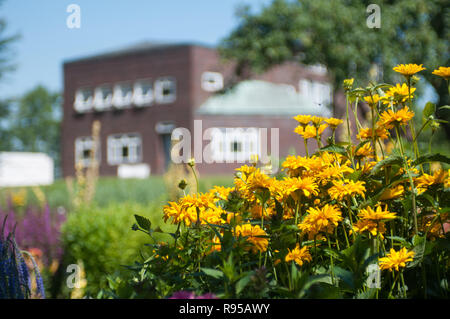 25.07.2012, Germany, Schleswig-Holstein, Neukirchen - Blumen und Beete im Noldegarten der Stiftung Ada und Emil Nolde vor dem Noldemuseum in Seebuell. Stock Photo