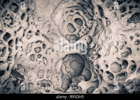Eroded sandstone ceiling, Castle Rock State Park, Santa Cruz mountains, California; black and white Stock Photo