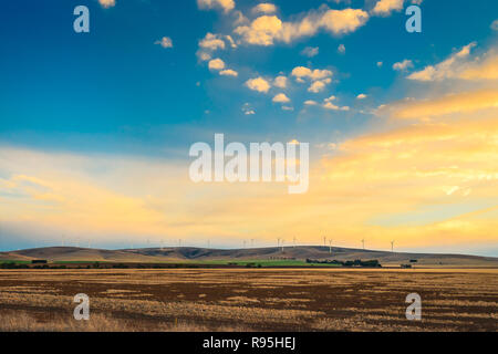 View at Snowtown Wind Farm across farmlands at sunset, rural South Australia Stock Photo