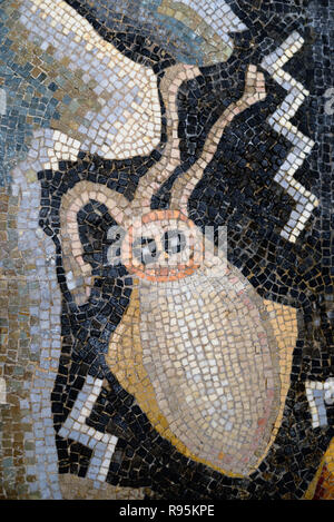 Roman Floor Mosaic (c3rd-c4th) of Cuttlefish & Mediterranean Seabed from Ancient Roman City of Ammaedara Haidra Tunisia Stock Photo