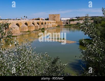 Cordoba, Cordoba Province, Andalusia, southern Spain.  The Roman bridge crossing the Guadalquivir river and leading to the Calahorra tower. Stock Photo