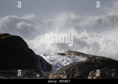 Detailed huge stormy waves breaking over cliffs and rocks of the portuguese northern coast in a sunny evening. Stock Photo