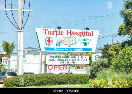 Marathon, USA - May 1, 2018: Turtle Hospital, Sea center, clinic for wild animals, wildlife on overseas highway road, street, US1 route in Florida key Stock Photo