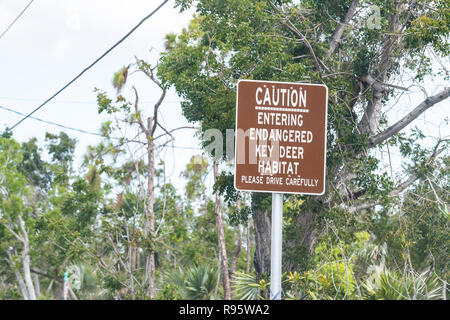 Brown color warning sign in Big Pine Key at National Deer habitat about caution, entering endangered species area, please drive carefully in Florida k Stock Photo