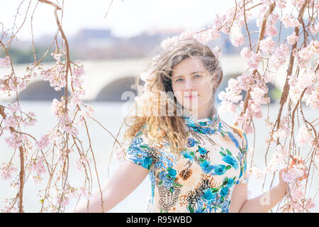 Young woman standing between, under cherry blossom, sakura flowers, branches, tree with Potomac river in background in Washington, DC with sunlight, b Stock Photo