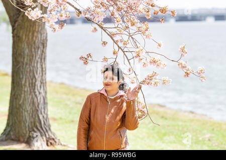 Washington DC, USA - April 5, 2018: Young Indian woman standing between, under cherry blossom, sakura flowers, branches, tree with Potomac river in ba Stock Photo