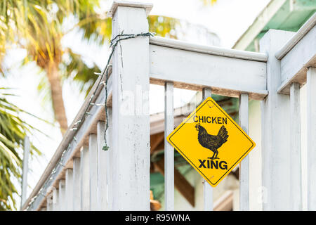 Yellow road, street, traffic caution warning sign with chicken, hen, rooster crossing, xing on balcony building, palm trees in background in Key West  Stock Photo