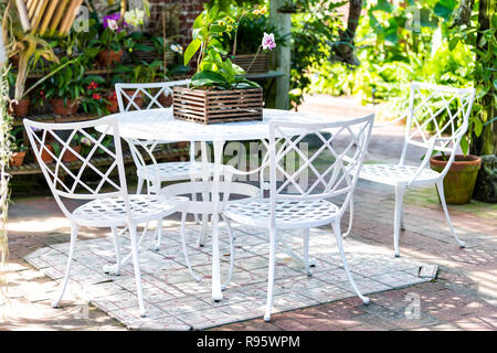 White cast iron chairs, table in outdoor, outside sitting area, garden, patio, porch, many potted flowers, pots, orchid flower wooden pot, green plant Stock Photo