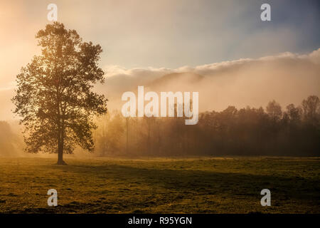 Misty morning in Cades Cove in the Great Smoky Mountains National Park Stock Photo