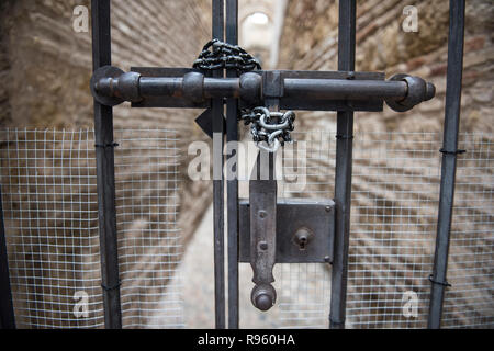 Closeup of a closed and locked Iron gate is seen here. The metallic door handle is seen on this picture along with the net it is covered with. On the  Stock Photo