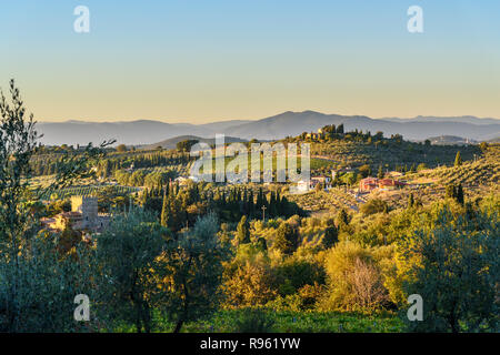 Countryside landscape, Vineyard in Chianti region in Tuscany. Italy Stock Photo