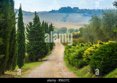 road in Chianti region in province of Siena. Tuscany landscape. Italy Stock Photo