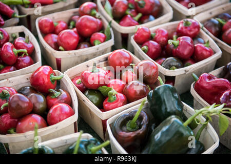 Fresh Fruits and Vegetables being sold at the market on a busy morning. The large amount of vegetables and fruits look fresh and several varieties of  Stock Photo