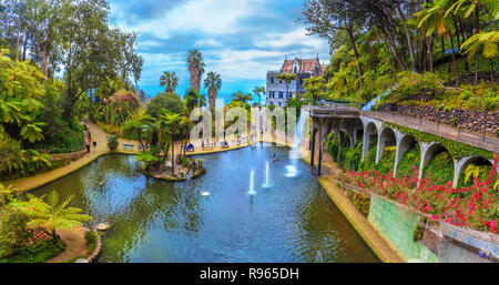 Beautiful panorama inside the tropical Garden of Madeira island in Portugal Stock Photo