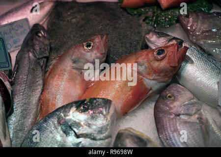 Fresh fish on sale at  mercat de la Boqueria  in Barcelona Stock Photo