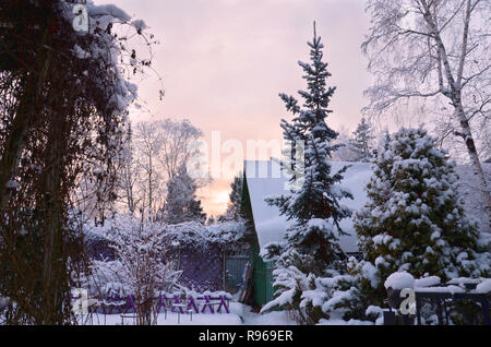 Stock image. Winter garden landscape in twilight. Branches of trees, bushes and roofs of rural houses in rime ice. Stock Photo
