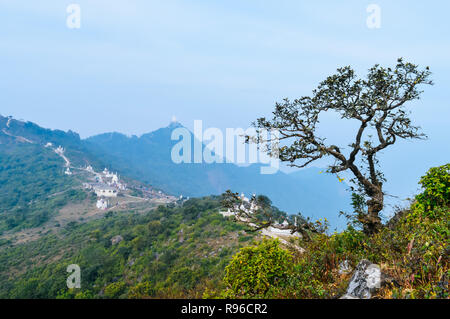 Hillside pine trees and distant mountains. Mountain winter scene with hill trees cloudy blue sky, Green landscape. Outdoor valley background banner