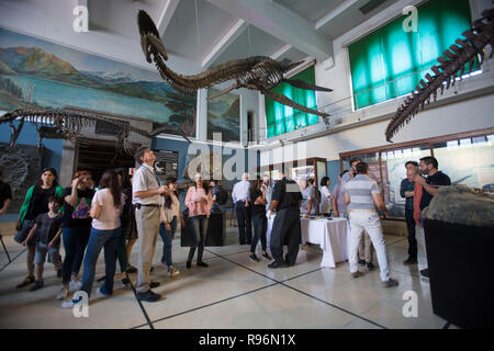 Buenos Aires, Argentina. 19th Dec, 2018. Visitors admire replica of a 65-million-year-old skeleton of a plesiosaur marine reptile at the Bernardino Rivadavia Natural Science Museum in Buenos Aires, Argentina, on Dec. 19, 2018. The fossil is found in Cretaceous period rocks submerged in Lake Argentino at the foot of the Andes mountains.The fossil is nine meters long with each fin measuring 1.3 meters. Credit: Martin Zabala/Xinhua/Alamy Live News Stock Photo