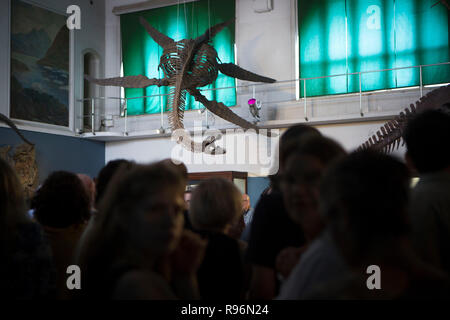 Buenos Aires, Argentina. 19th Dec, 2018. Visitors admire replica of a 65-million-year-old skeleton of a plesiosaur marine reptile at the Bernardino Rivadavia Natural Science Museum in Buenos Aires, Argentina, on Dec. 19, 2018. The fossil is found in Cretaceous period rocks submerged in Lake Argentino at the foot of the Andes mountains. The fossil is nine meters long with each fin measuring 1.3 meters. Credit: Martin Zabala/Xinhua/Alamy Live News Stock Photo