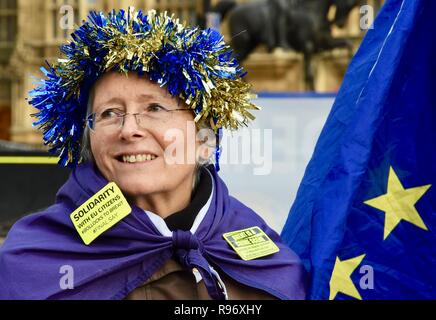 London, UK. 20th December 2018. Anti Brexit SODEM demonstrations continue as Parliament heads into the Christmas recess.Houses of Parliament,Westminster,London.UK Credit: michael melia/Alamy Live News Stock Photo