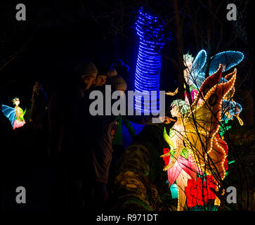 Edinburgh Zoo, Edinburgh, Scotland, United Kingdom, 20th December 2018. Giant Lanterns of China display at the zoo with colourful lantern displays of animals and mythical creatures lighting a magical trail through the Zoo over Christmas. A fairy Stock Photo