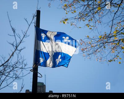 Quebec flag in front of a trees waiving in the air. Also known as Fleur de Lys, or fleurdelise, it is the official symbol of the Canadian province of  Stock Photo
