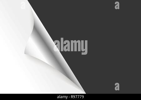 Sheet of curled Silver Metallic paper background. Stock Vector