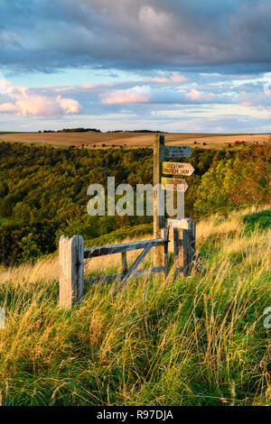 Wooden fingerpost (Cleveland Way National Trail) in beautiful sunlit hilltop location with scenic landscape beyond - Sutton Bank, Yorkshire,  England. Stock Photo