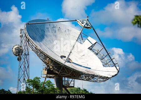 Satellite dish in the forest with sighns of rust at day Stock Photo