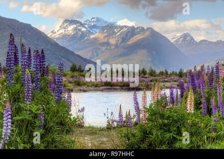 Glenorchy, Lake Wakatipu, Otaga, South Island, New Zealand Stock Photo