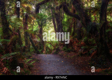 Catlins Forest Park, South Island, New Zealand Stock Photo