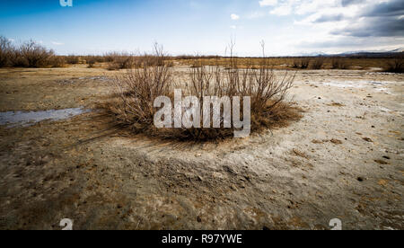 Urmia Lake Stock Photo