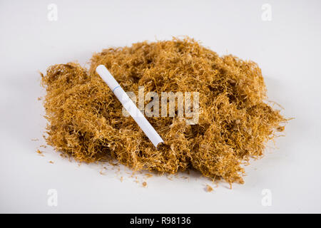 Dry cut tobacco and cigar on heap isolated on white background. Dried high quality tobacco for smoking and personal use. Close up, selective focus Stock Photo