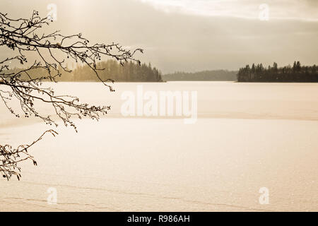 Light snowfall at a frozen lake behind branches of black alder at a frozen Nordic lake. Stock Photo