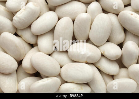 Background of white beans, full frame and macro shot Stock Photo