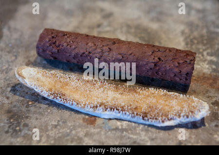 Stick made from guarana seeds (brown) and dry pirarucu fish tongue, used to grate the guarana and get the guarana powder, that is used as energy drink Stock Photo
