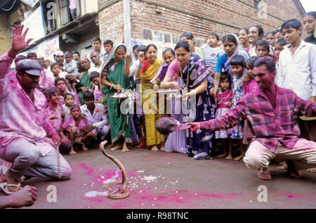 Cobra snake festival, Battis Shirala, Maharashtra, India Stock Photo