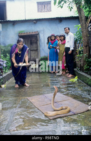 Woman praying to cobra snake on nagapanchami snake festival battis shirala India Stock Photo