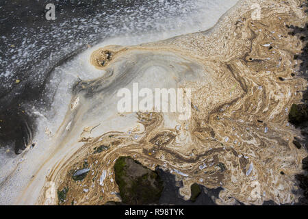 extremely polluted waters, white foam and slick of oil on the sea Stock Photo