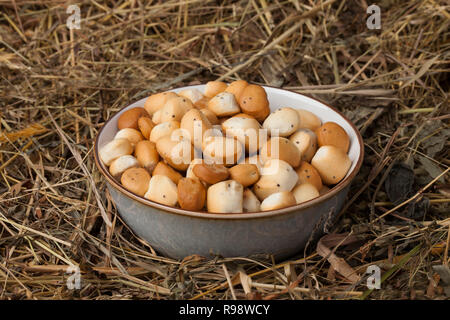 Kūčiukai (also šližikai) is a traditional Lithuanian dish served on Kūčios, the traditional Christmas Eve dinner in Lithuania. Sweet pastries made fro Stock Photo